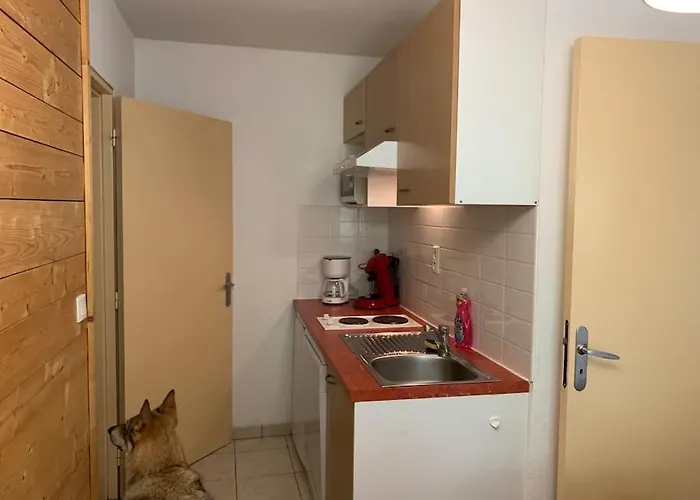 T3 Ideal Et Randonnee En Famille Lägenhet Cauterets