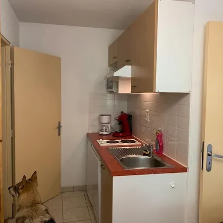 T3 Ideal Et Randonnee En Famille Daire Cauterets